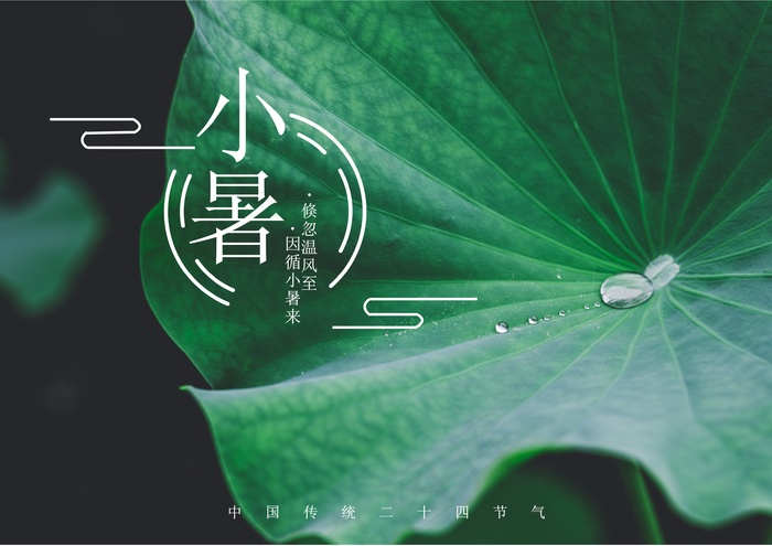 二十四节气小暑海报cdr矢量模版下载