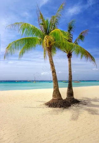 热带海滩 海边风景图片