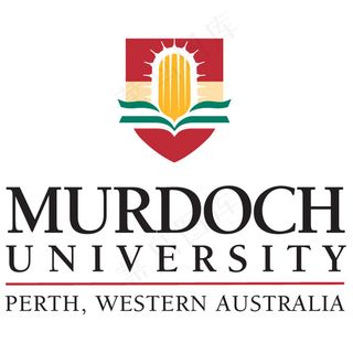 科技网页IT助手logo设计