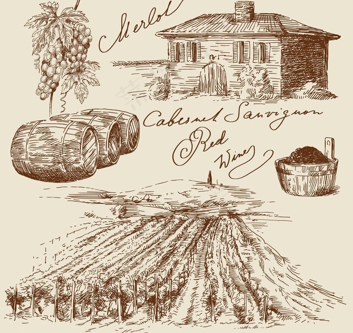 手绘风格葡萄酒海报图片