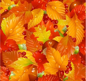 秋天枫叶水珠水滴果实梦幻背景图片