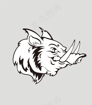 猪头像插画
