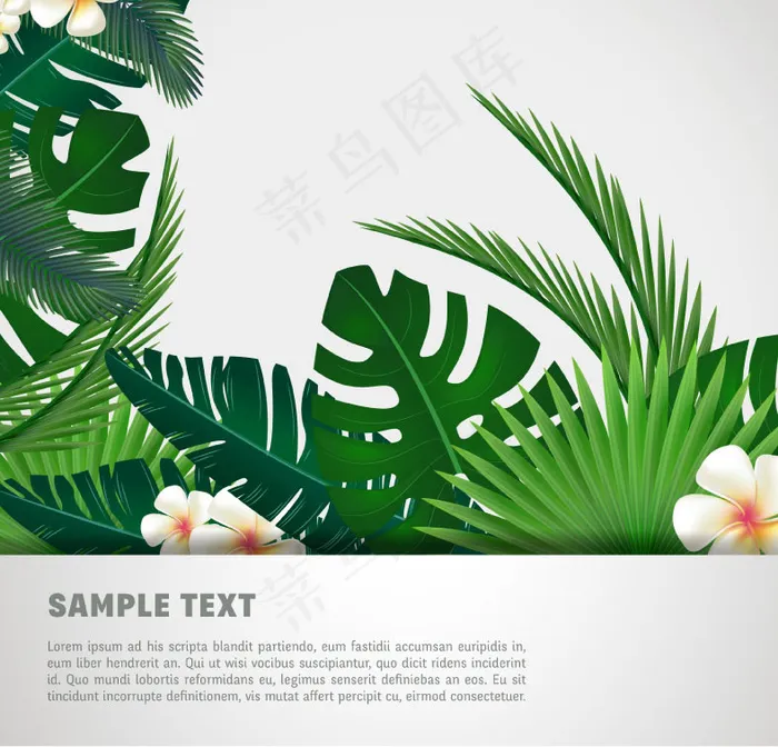 棕榈树叶与鸡蛋花ai矢量模版下载