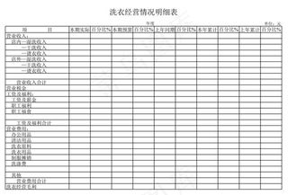 洗衣经营情况明细表