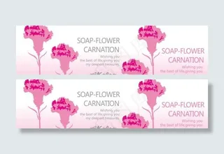 粉色康乃馨矢量素材