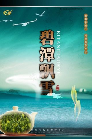 茶叶 生态 包装 碧潭飘雪图片