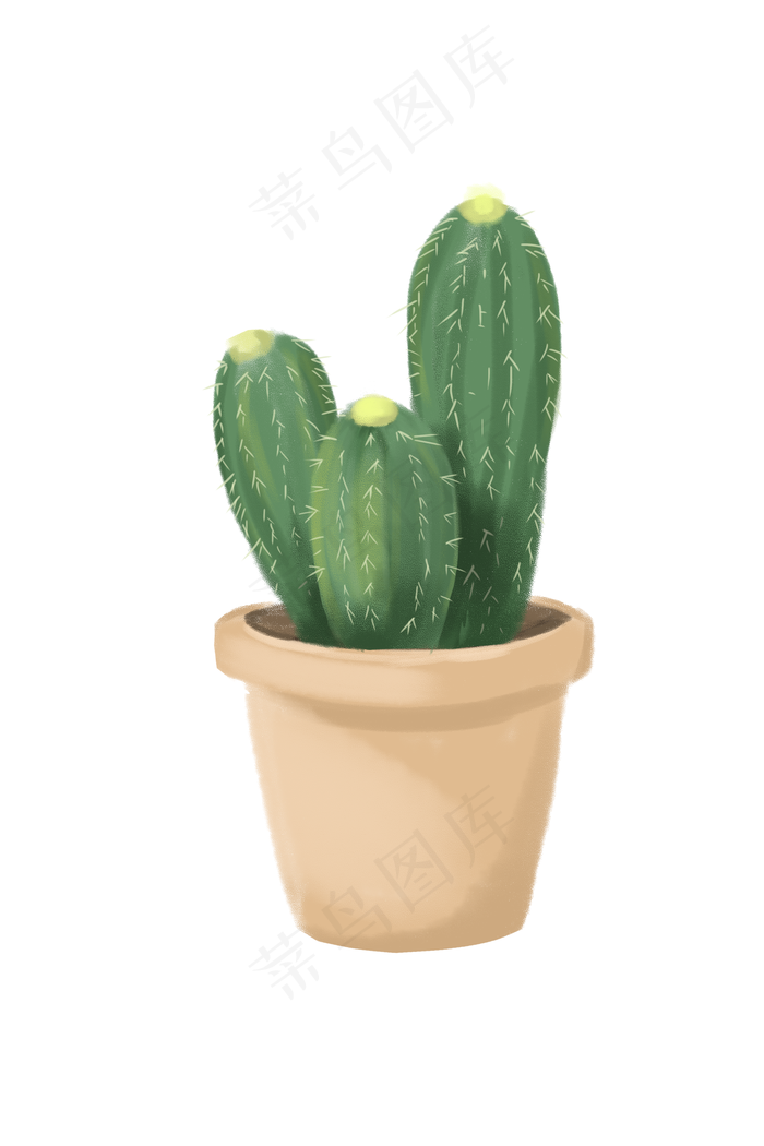 手绘仙人掌盆栽插画手绘仙人掌盆栽插画