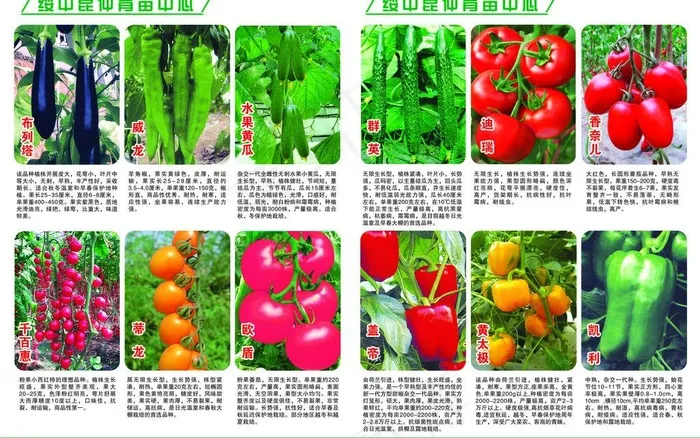各种蔬菜图片(5008X3413(DPI:300))psd模版下载
