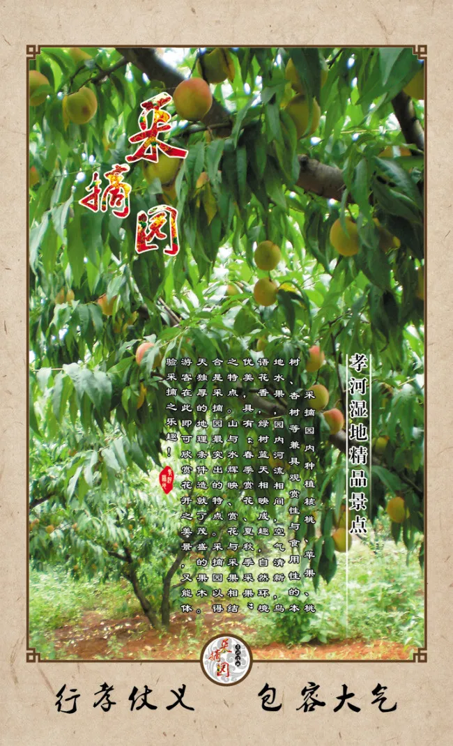 采摘园春色景光(1433X2362(DPI:100))psd模版下载