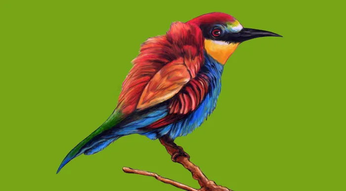 彩绘麻雀素材psdpsd模版下载