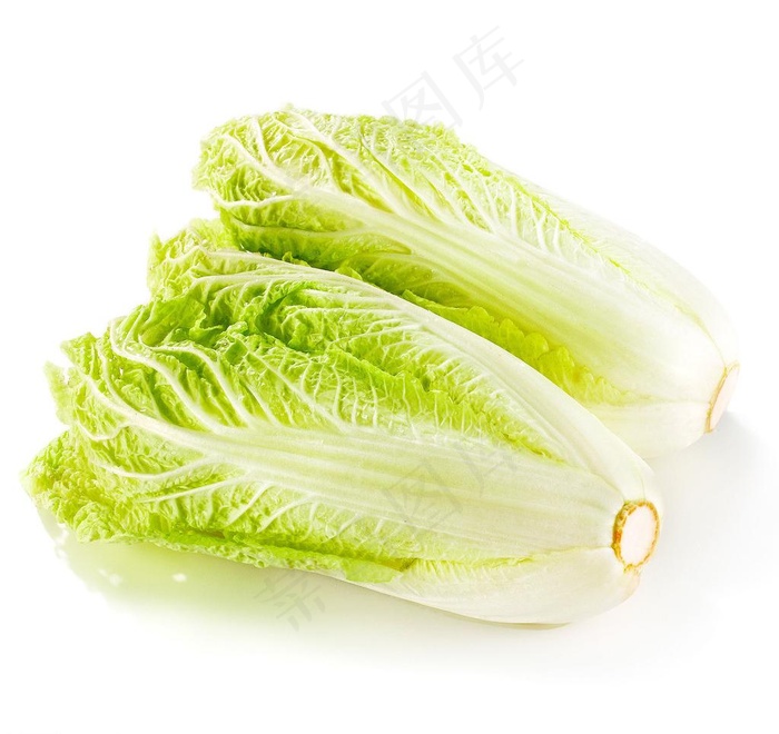 娃娃菜图片