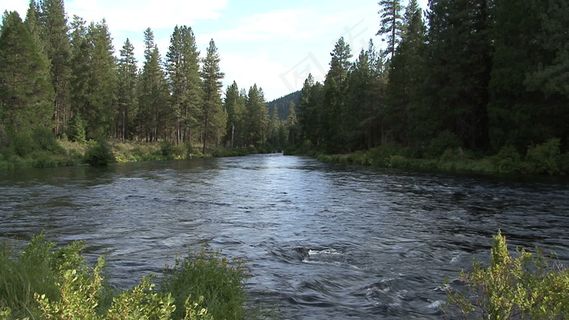 俄勒冈Metolius河6股票的录...