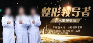 整形领导者海报