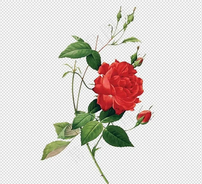 唯美免扣手绘花朵叶子树叶背景墙素材...