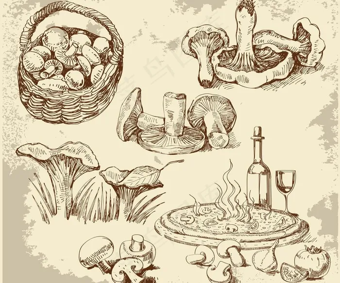 手绘食物图片eps,ai矢量模版下载