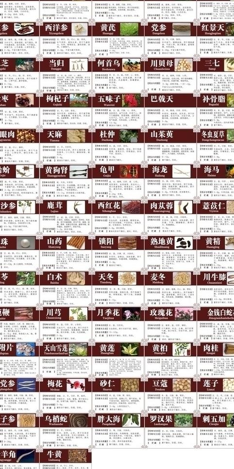 中医药材介绍图片cdr矢量模版下载