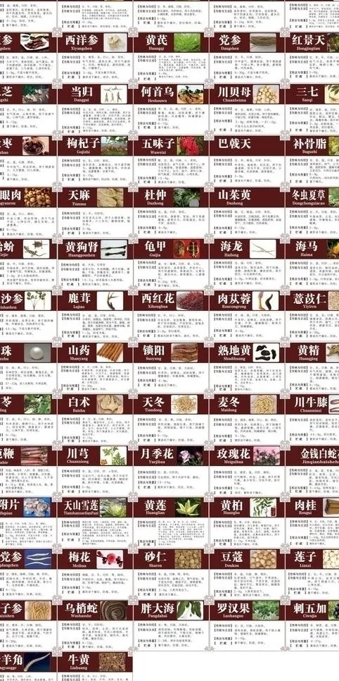 中医药材介绍图片cdr矢量模版下载