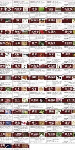 中医药材介绍图片