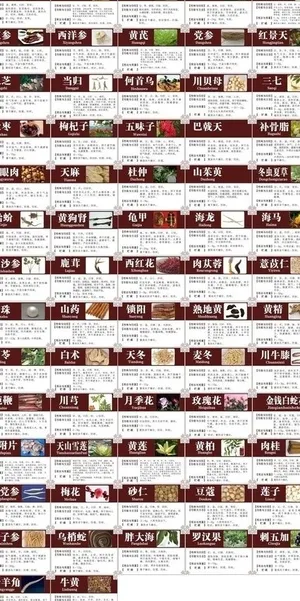 中医药材介绍图片