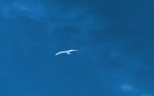 高清电脑桌面背景壁纸