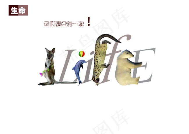 动物保护psd模版下载