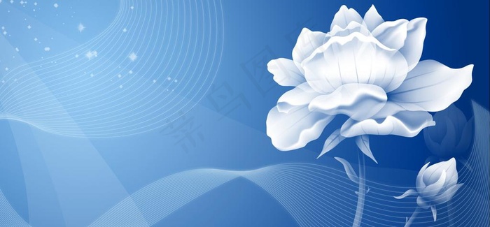 花纹背景图片(4576X2381(DPI:72))psd模版下载