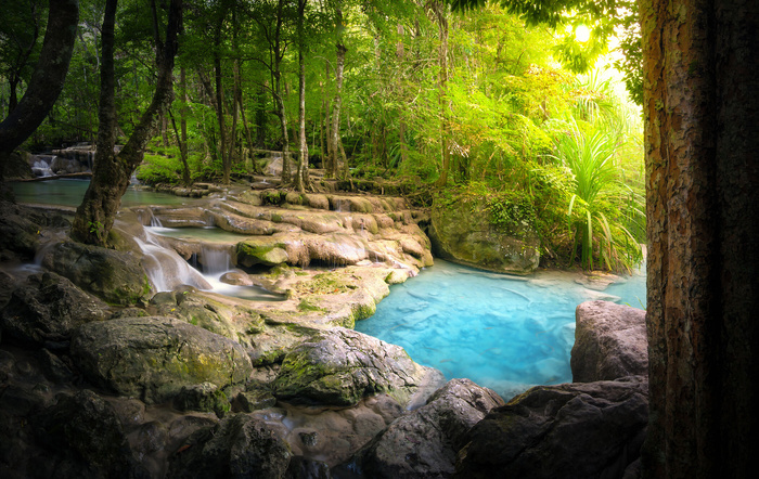 美丽树林瀑布风景