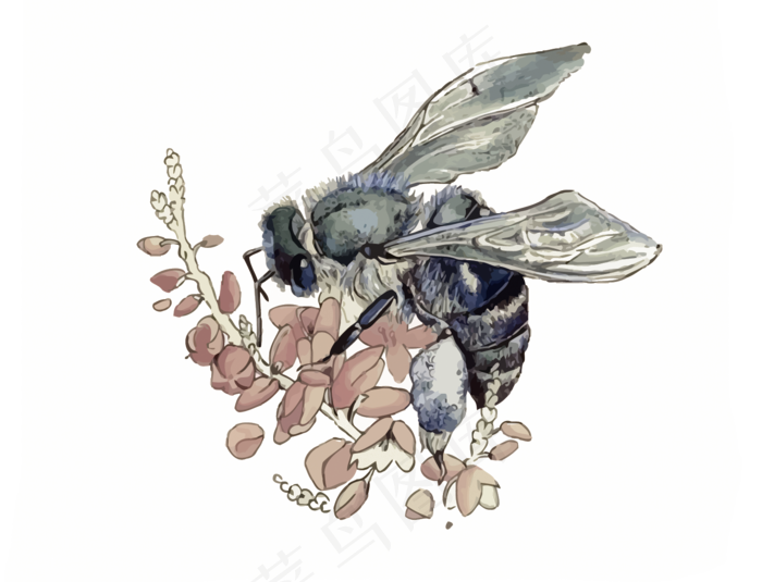 蜜蜂采蜜免扣PNG素材集合(1500X1146)