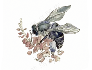 蜜蜂采蜜免扣PNG素材集合
