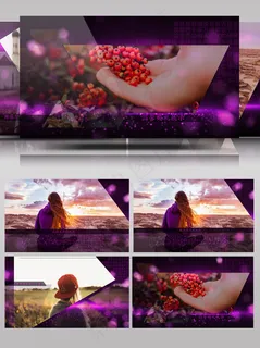 会声会影多边形婚礼相册展示