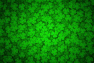 四叶草背景素材图片