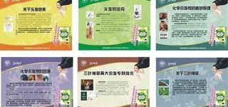 墙面招贴保健品图片
