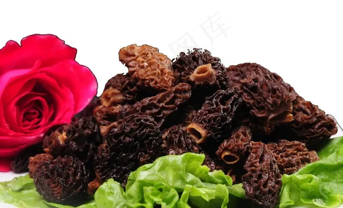 羊肚菌