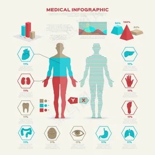 平的医疗信息图表说明