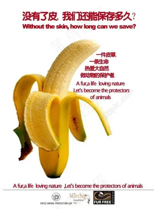 反对皮草 保护动物图片
