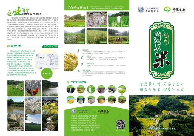 达沃斯农业 生态大米 三折页cdr矢量模版下载