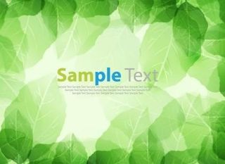 春季鲜绿的树叶矢量背景