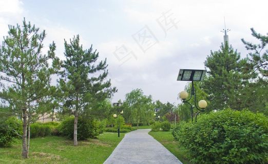 公园小道摄影图图片