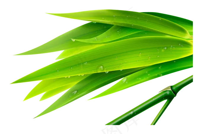 绿色竹子水墨画竹子图片png设计素...(1041X675)