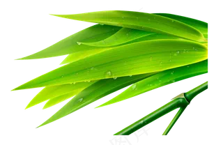 绿色竹子水墨画竹子图片png设计素...