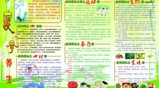 夏季养生海报图片