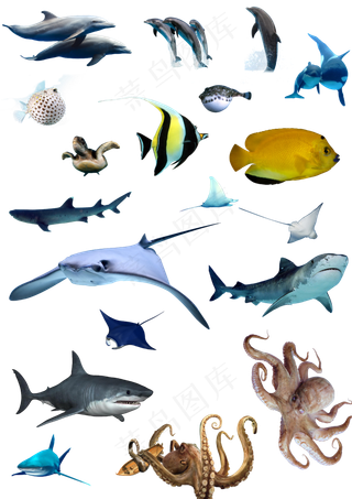 中国风古典边框对话框鸡年春节新年素...