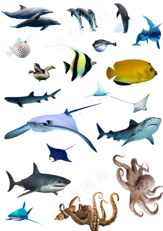 中国风古典边框对话框鸡年春节新年素...