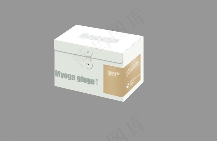 包装礼盒设计psd图片