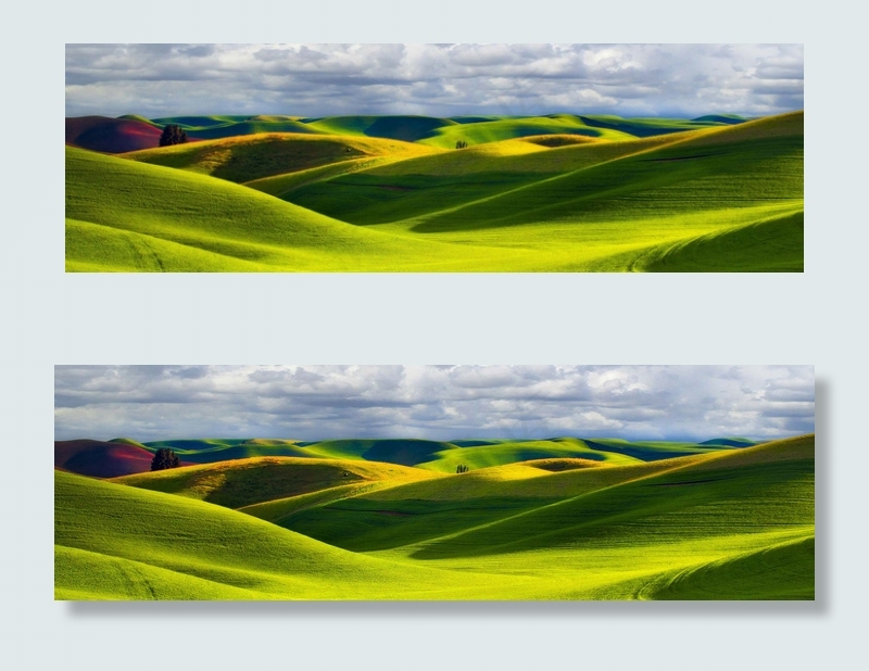 唯美草原banner背景　