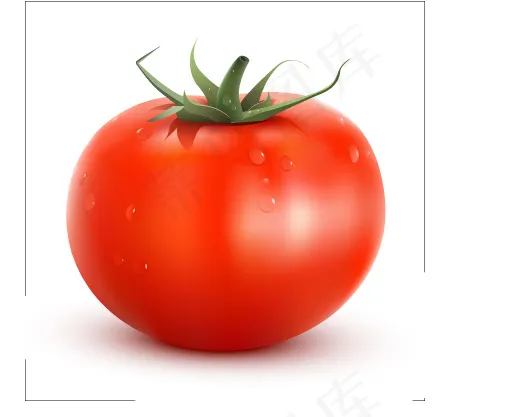 不同的植物载体(400X400)eps,ai矢量模版下载