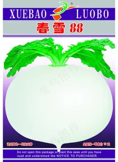 种子包装设计图片