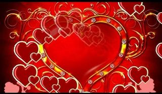 婚礼视频素材图片