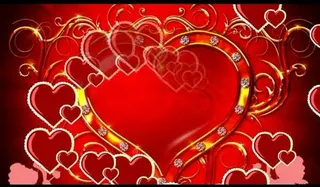 婚礼视频素材图片