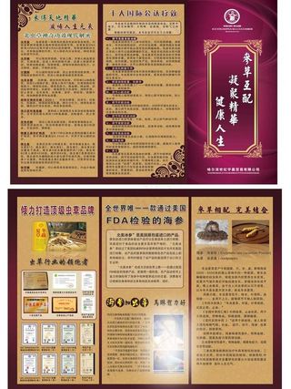 海参传单三折页